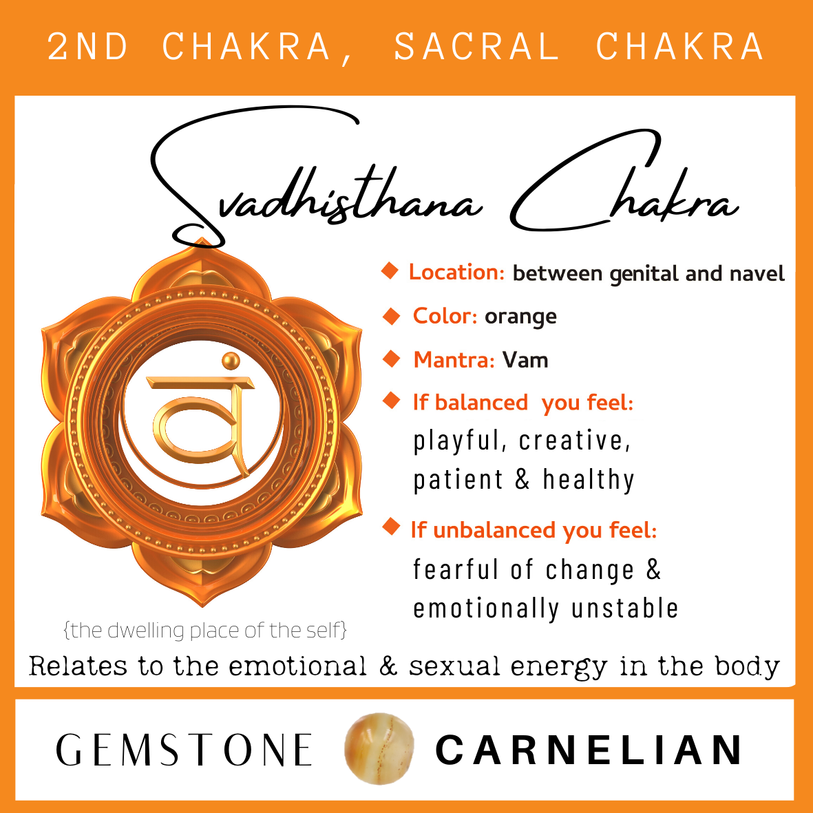 Chakra & Honey Amber Child Necklace