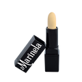 Corrector Stick - 350 - Light Ivory